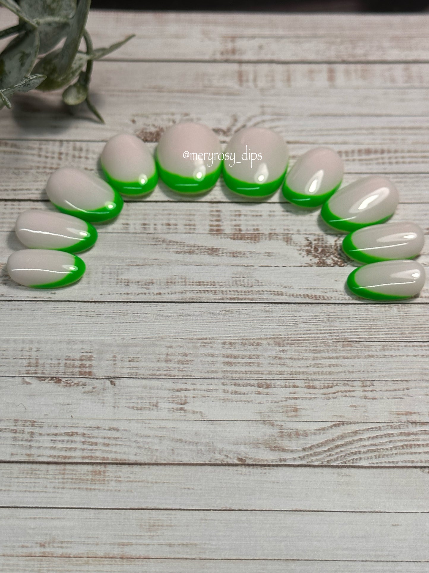Lemon Lime Pre-Designed Set