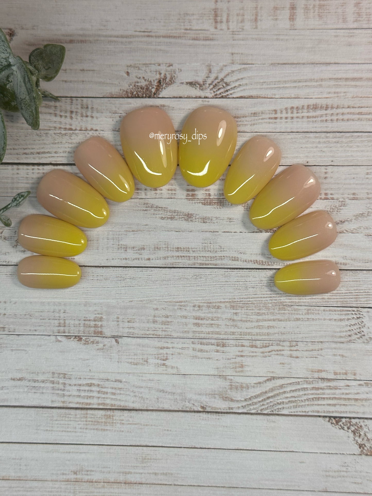 Give Me Lemons Pre-Designed Set