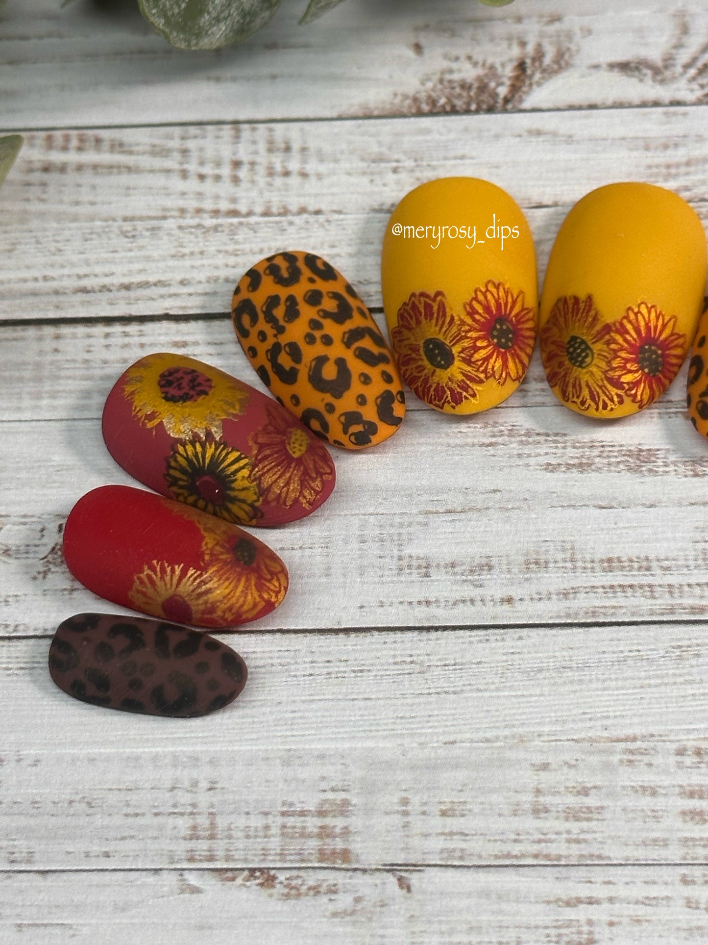 Fall Flowers Pre-Designed Set