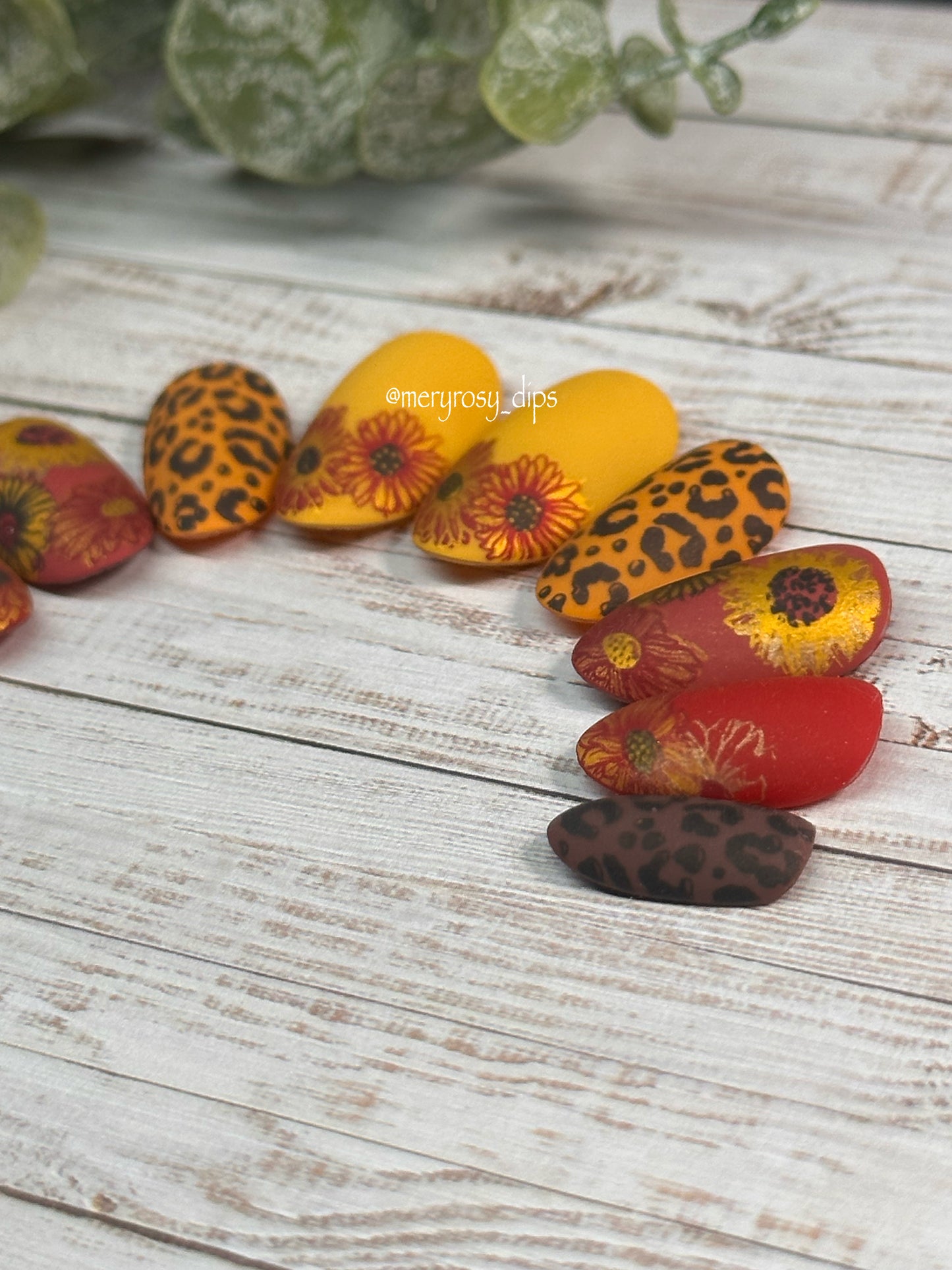 Fall Flowers Pre-Designed Set
