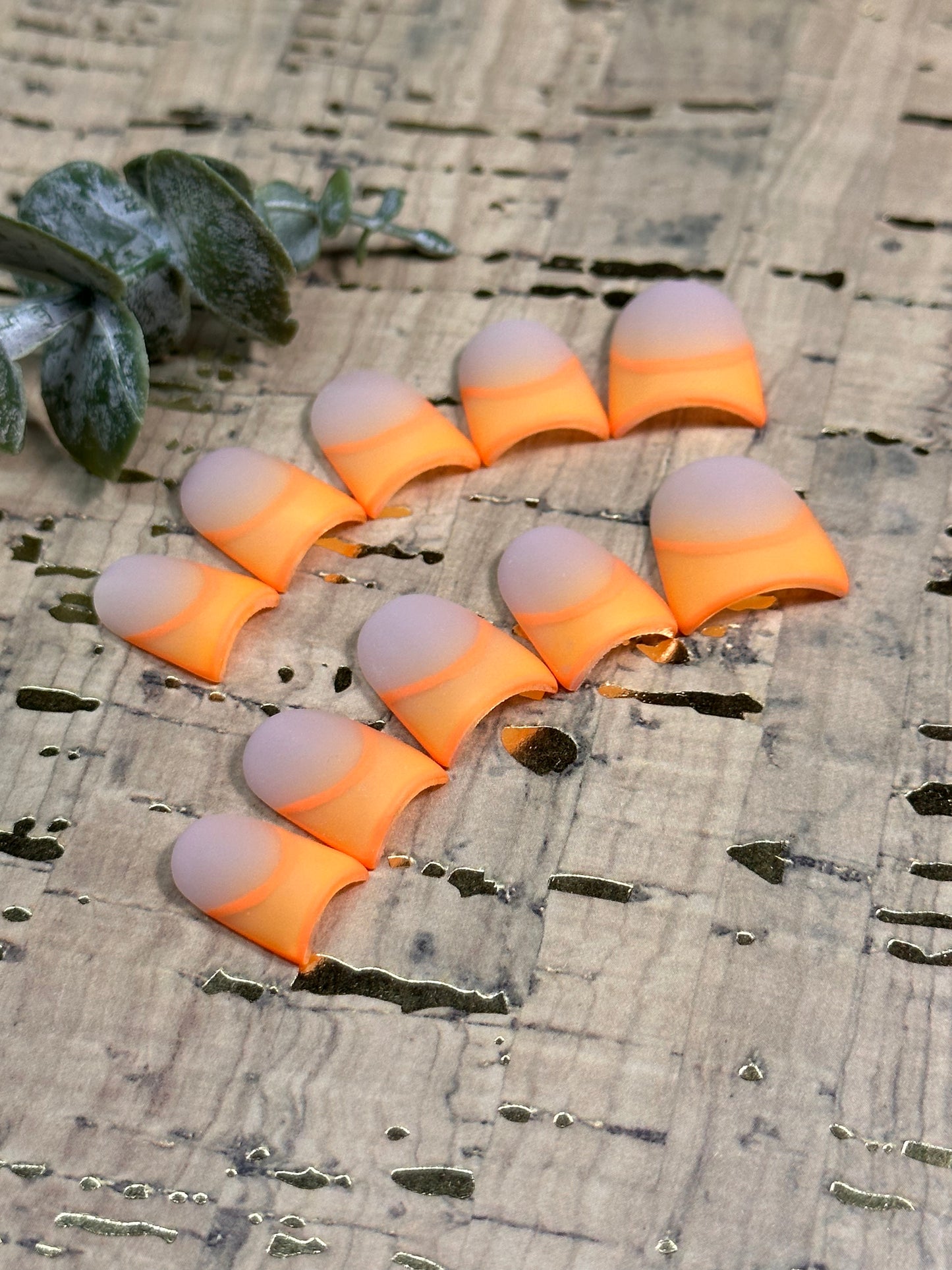 Pumpkin Tips Pre-Designed Set